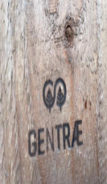 Naturhelte børn laver mad og bolig til dyrerne1