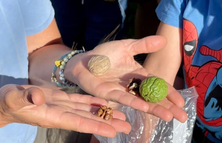 Vores ØKOMAD på legepladsen